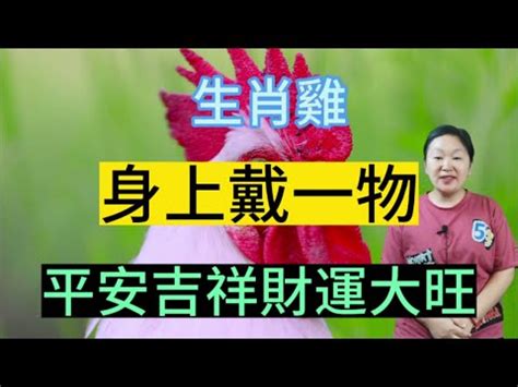 屬雞住宅方位|屬雞的適合什麼方位的房子？